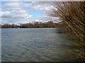 Frampton on Severn sailing lake