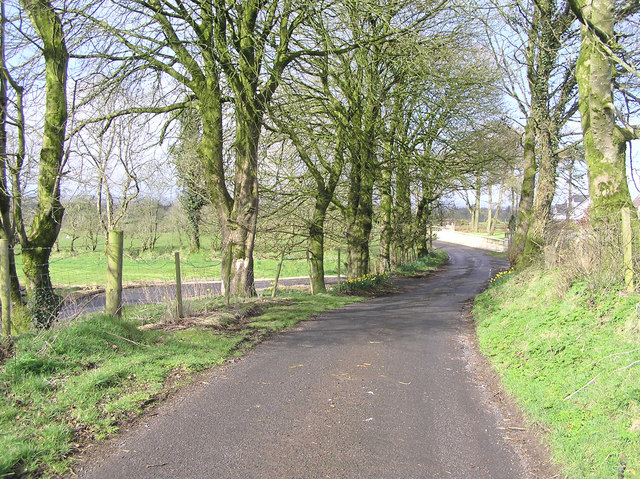 The road at  Aghalane, Co. Tyrone