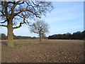 SU8791 : Farmland above Wycombe by Andrew Smith