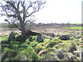 Stone circle at Aghnagreggan