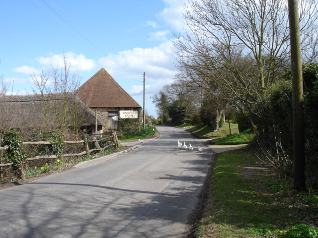 Ducks, Pett Road, East Sussex