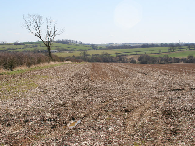 Farmland on Stygate Lane