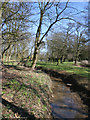 Stream at Leesthorpe Bridge