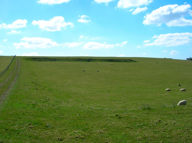 Ancient Field System, Eastdean Down © Simon Carey cc-by-sa/2.0 ...