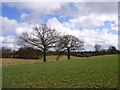 Between Great Kingshill and Widmer End