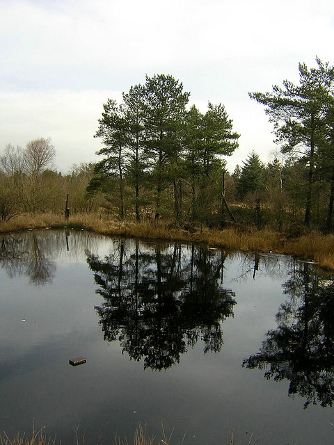Small Pond Near Fannyside Muir