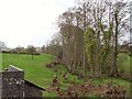 Coppice, Bower Farm.