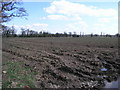 Puddle and Field