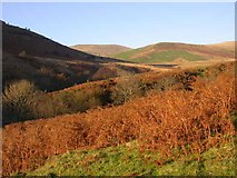 SH6811 : Afon Cadair valley below Cadair Idris by Mike Simms