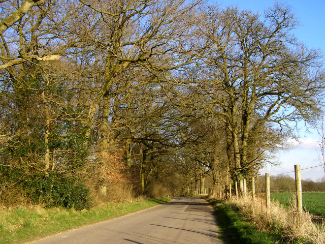 The Middleway at Gravelly Bank Copse, Middleton