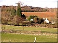 Looking towards Drybrook Quarry