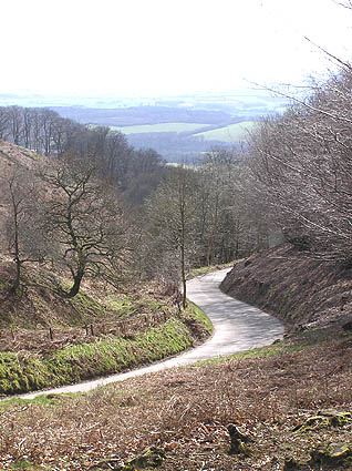 Crowcombe Combe looking SW ; steep road from Crowcombe