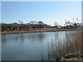 Radipole Lake Nature Reserve and superstores