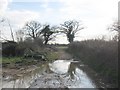 Bridleway at Hoopers Pool