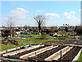 Horfield & District Allotments