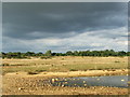 Stormy skies over Greenham Common