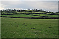 Green Hill near Old Dalby, Leicestershire