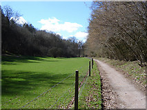 SU6837 : Cycle path near Chawton Park Woods by Graham Clutton