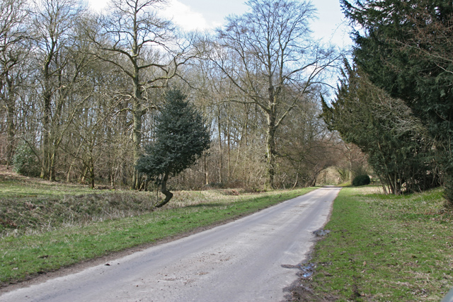 Road south of Brockwood Park