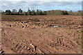 Arable land at Little Dewchurch