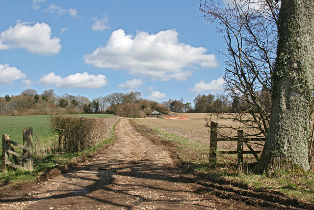 Farm Track near Brockwood Park