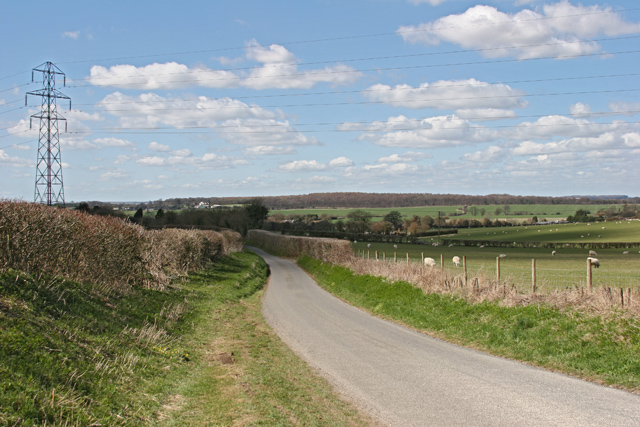 Country road to the east of Ropley