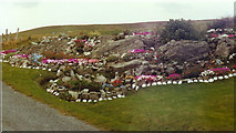 HU1950 : The Gravens Garden by Jeremy Duncan