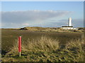 SD2262 : South Walney Nature Reserve by Chris Upson