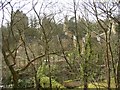 Charterhouse glimpsed through the trees from Frith Hill, Godalming