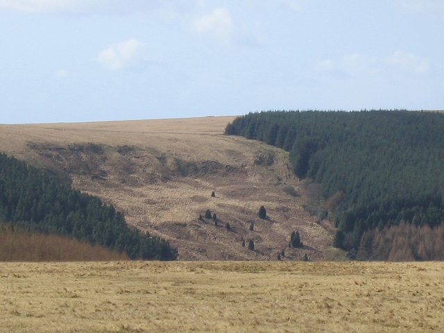 Forests on south slope of Cwm Cathan