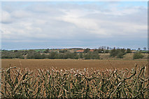 SK8415 : Farmland near Whissendine, Rutland by Kate Jewell