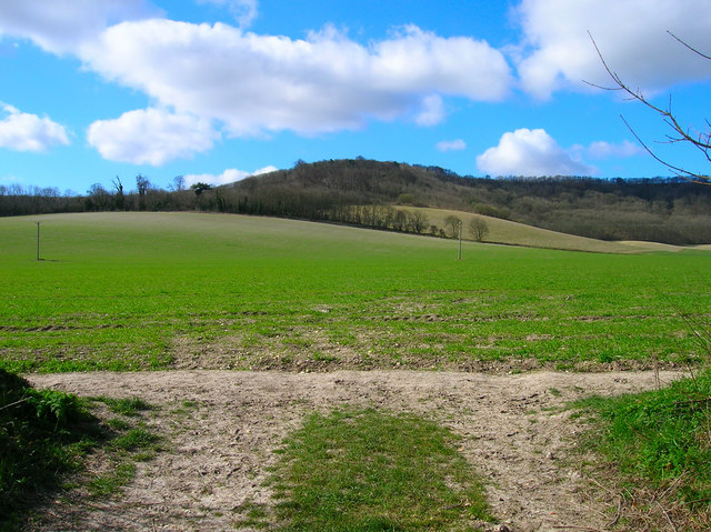 Field from Mouse Lane