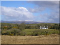 G9674 : Cottage near Laghey Co Donegal by Dennis Reynolds