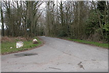 SO4835 : Driveway into Haywood Forest near Callow by Philip Halling