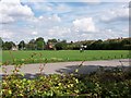 Part of Edlesborough village green