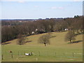 Pasture south of Penn