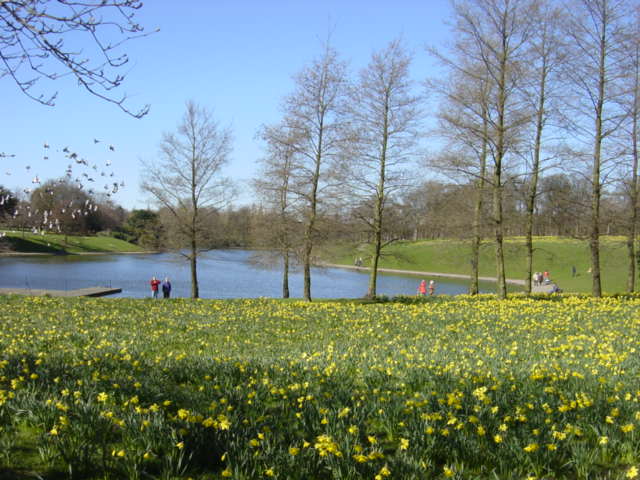 Marie Curie Field of Hope, Sefton Park