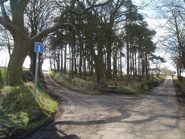 Crossroads of Bradley Fell Road and Buck's Nook Lane.