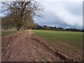 Bridleway to Buckland