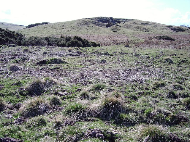 Lamberton Moor