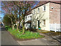 Springtime in High Street, Low Shincliffe