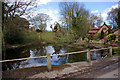 Village Pond - Little Cawthorpe