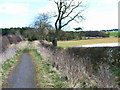 Bridleway near Humble Knowe Farm