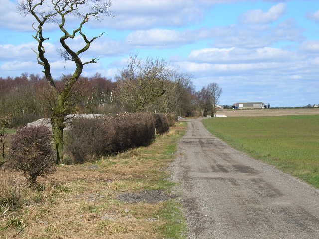 Farm road to Butterwick Moor Farm