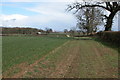 Farmland near Lower Farm, Icomb