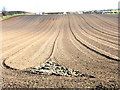 Newly harrowed field, Cookshold Lane, Sherburn