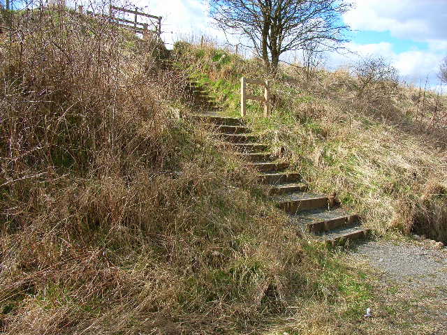 Access steps down to the Castle Eden Walkway