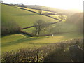 Valley below East Down farm