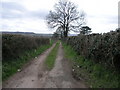 Footpath to Broadward