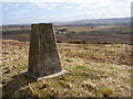 Bruceton trig